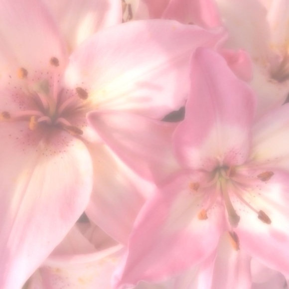 Lets b friends :D - Picture 4 of 10